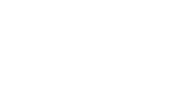 stn-logo-neg